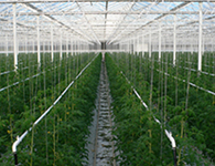 nouveau_village_agricole